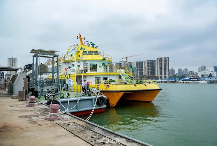 长桥卧波，蛟龙出海——探寻9千米桥梁与6.7千米海底隧道的工程奇迹